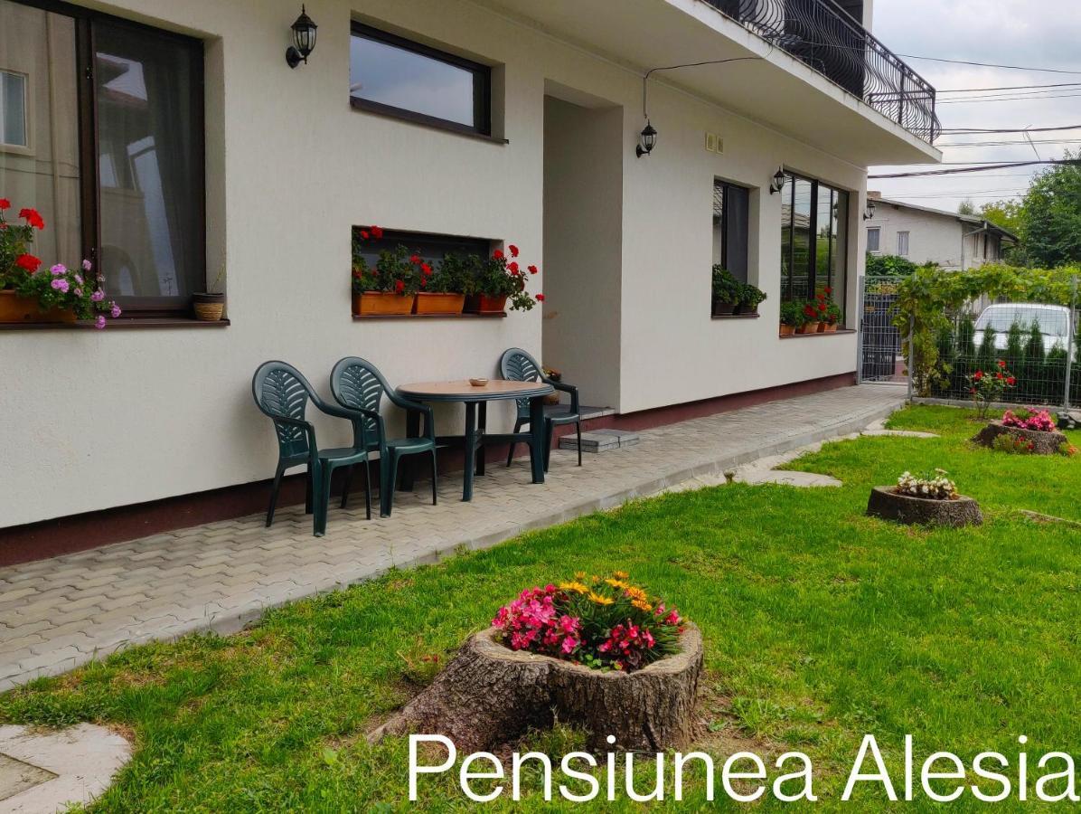 Pensiunea Alesia Pucioasa Экстерьер фото